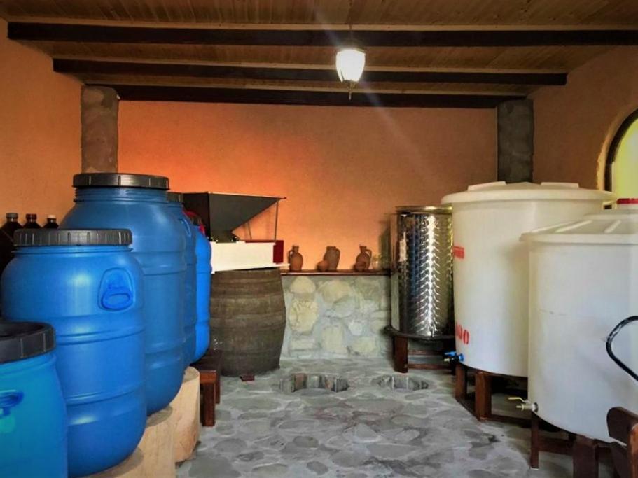 Guesthouse Lilia &Wine Celler Telavi Exteriör bild